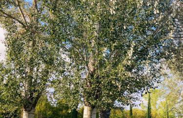 Podere La Chiusella B&B - Foto 15