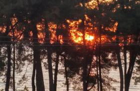 Nisteri Seaside - Photo 40