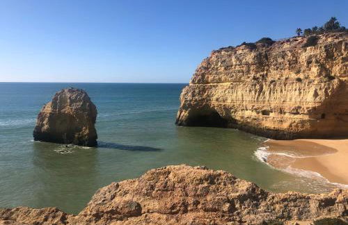 Casa Dos Cedros - Foto 80