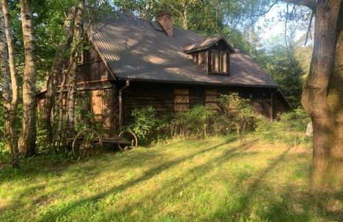 Dom z linią brzegową Narwi - Photo 1