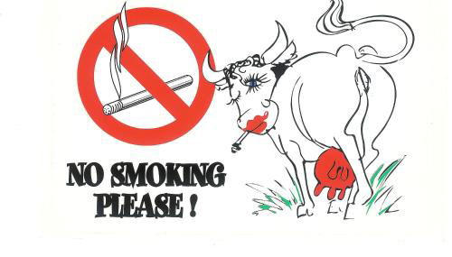 Studio Mimosa Croisette - Foto 5