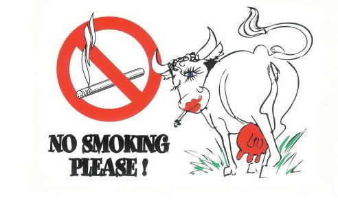 Studio Mimosa Croisette - Foto 5