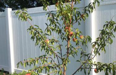 Luxurious 1875 centrally located Canton Akron home, expansive primary & sunset view - Foto 43