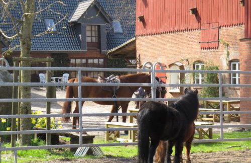 Hof Osterbunsbüll - Foto 8