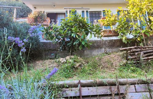 Massaciuccoli Romana - Foto 28