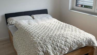 Modernes Apartment Himmelpforten - Photo 3