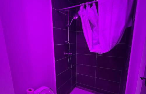 Apparemment vue sur Garonne - Foto 10