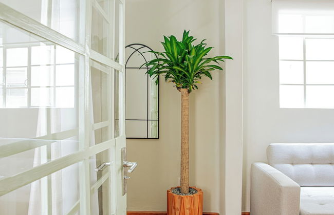 LAREDO by Mr. W - Foto 54