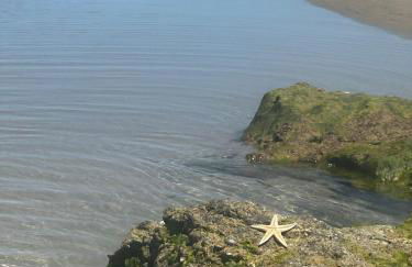 Appartamenti Miresole Nicomare - Foto 37