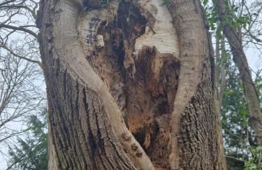 Domaine des Aulnaies - Beauval - Mareuil sur Cher - Foto 54