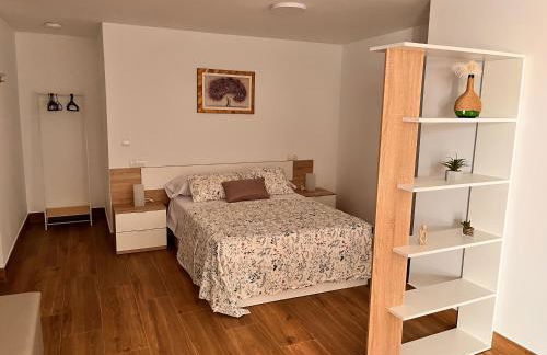 Apartamentos EL PELIGRO 4 EL CIBANCO - Foto 6