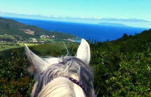 casa dei zitelli studio de charme avec jardin et terrasse - Foto 32