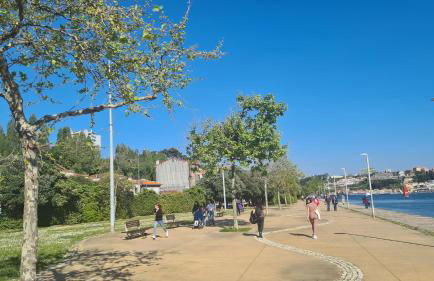 Apartamento vista Douro e Mar - Foto 70