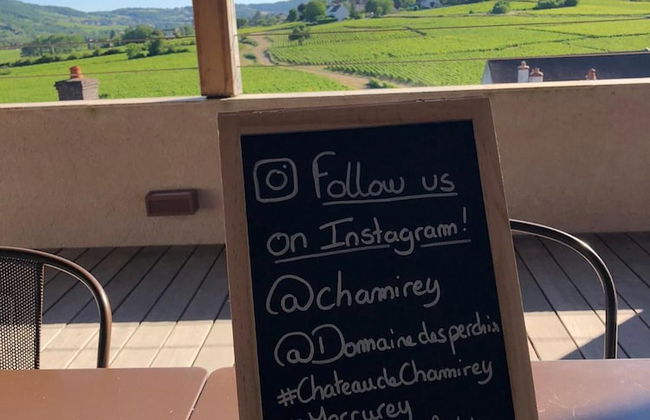 La Maison du Grand Four en Bourgogne, Au coeur de Vignes, Piscine et Sauna - Foto 43