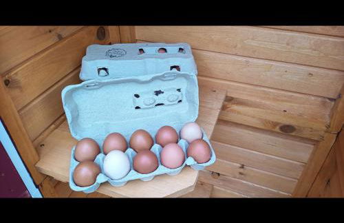 NEU! Landhaus Ostfriesenruhe - Foto 19