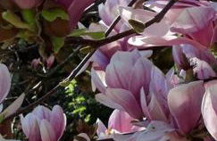 Residenza Buggiano Antica B&B - Charme Apartment in Tuscany - Foto 68