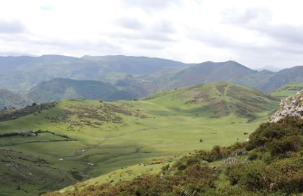 Apartamentos Rurales Balcón Real Senda del Oso - Foto 52