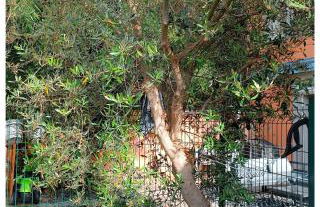 Studio Le Jardin - Foto 10