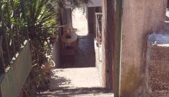 Apartment Adam - Photo 2