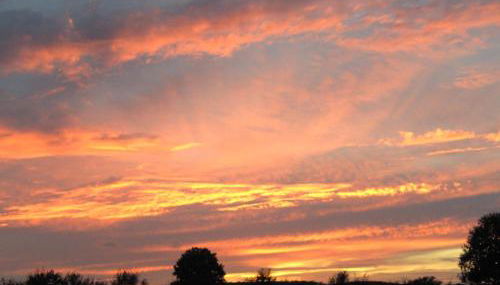 Gastehaus Luise - Foto 4