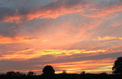 Gastehaus Luise - Photo 4