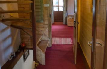 Stones and Pines - Foto 2