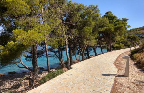 Your Place in Primosten - Photo 21