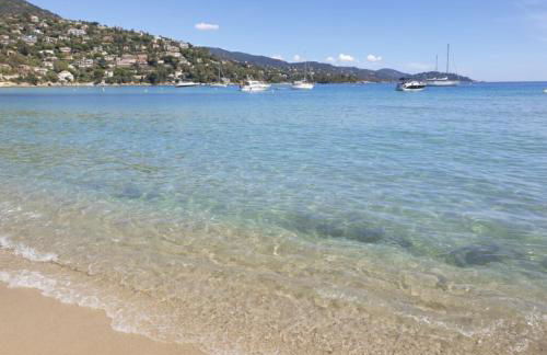 APPARTEMENT ET SA JOLIE TERRASSE Le Lavandou Saint Clair, a deux pas de la plage de St Clair, au calme, Studio tout équipé, clim, Wifi Fibre, TV connectée, lave linge, lave vaisselle, place de parking et plus, serviettes et draps fournis - Foto 19