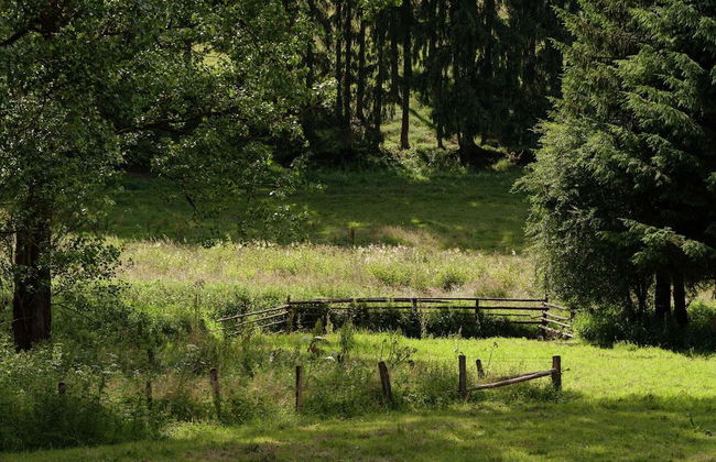 Tastefully Furnished Holiday Residence Located in the Heart of the Ardennes - Photo 24