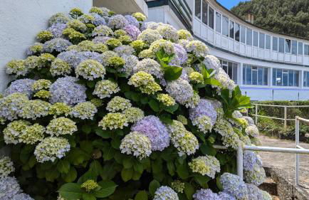 Rincón de Mar - Foto 32