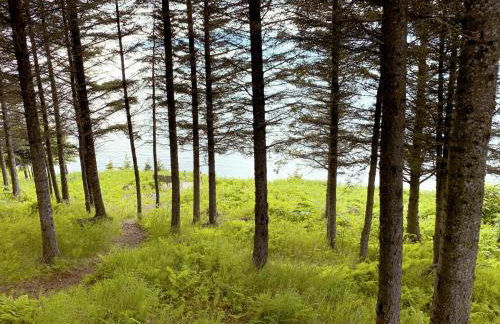 Lost Anchor Cabins - Ocean-view cabins on the bluff - Foto 12