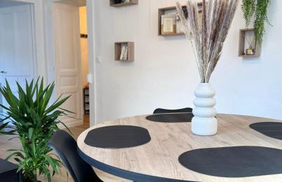 Appart' Porte Saint-Pierre - Foto 4