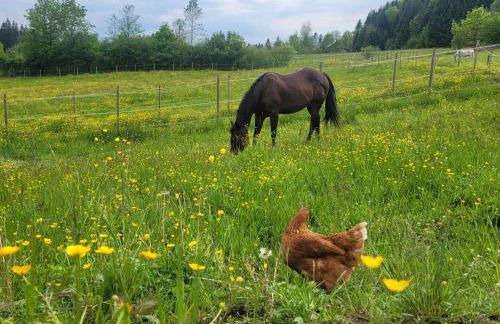 Lieblingsplatz - Foto 19