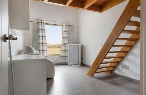 Mireia 2002 with pool and garden by BeBreeze Mallorca - Photo 37