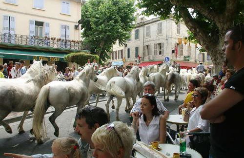 Un Petit Coin de Provence - Istres - Maison Contemporaine Avec Piscine Privée Chauffée, Entre Plages Et Provence, Borne 11 kW - Foto 64