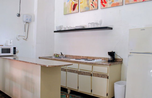 Gladiolas 1101 - Foto 6