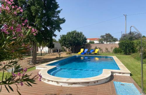 Tia Antonia - Foto 12