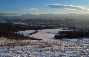 Apartamenty Pod Uwalonym Dębem - Foto 48