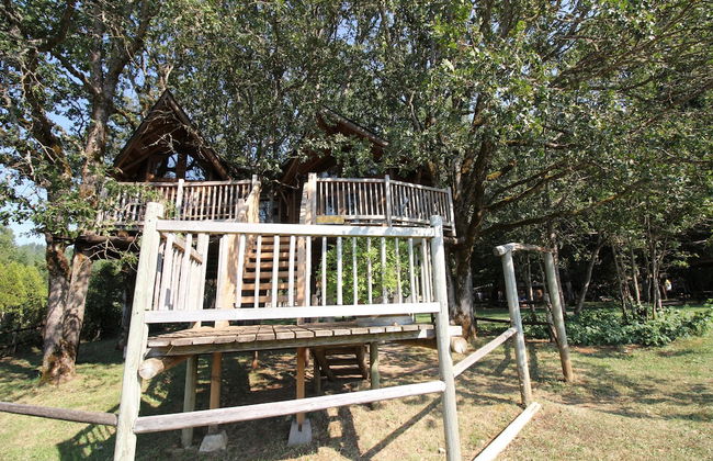 Out 'N' About Treehouse Treesort - Photo 49