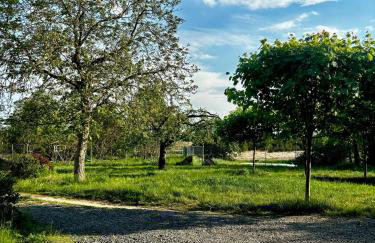 Apartamenty i Winnica - Siedlisko Na Polanie - Foto 65