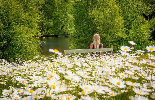 Pinetum Garden Cottages - Foto 106