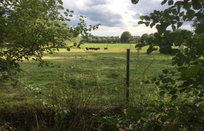 Luxury Villa in De Pier With Sauna - Photo 26