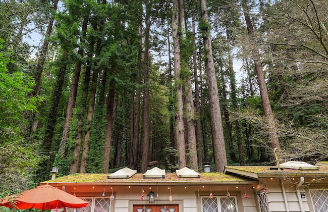 Pacific Coast Redwoods Cabin for Family - Foto 71