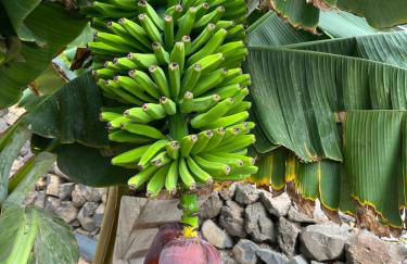 Casa El granero de Antonio - Foto 74