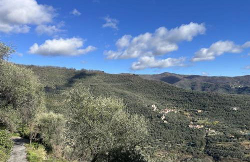 Apartment Viola - VLO203 by Interhome - Photo 7