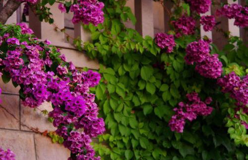 Large and charming apartment near beach with big & sunny terrace - Photo 49