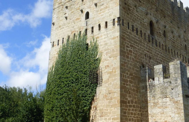 Tour in Espinosa de los Monteros - Photo 1