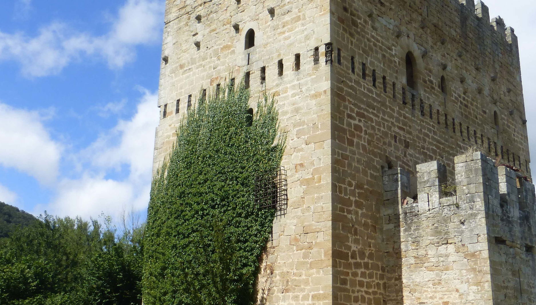 Tour in Espinosa de los Monteros - Photo 1