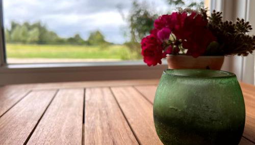 Ferienwohnungen in Stresdorf - Foto 4