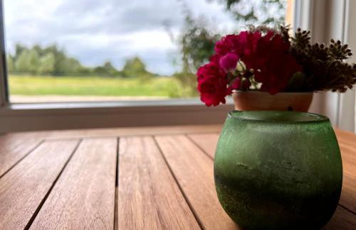 Ferienwohnungen in Stresdorf - Photo 4